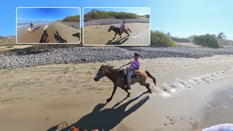 Beat 8: Beach horses