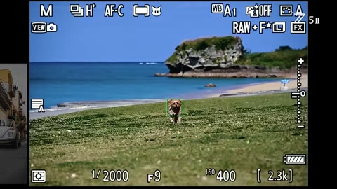 Beat 5: Image quality