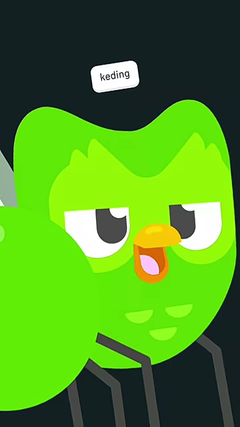 Beat 3: Owl face