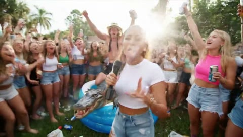 Beat 2: Alligator party