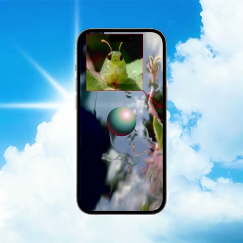 Beat 8: Insect