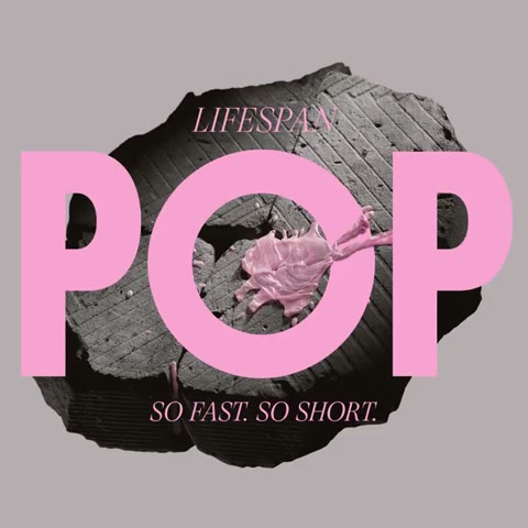 Beat 9: POP title