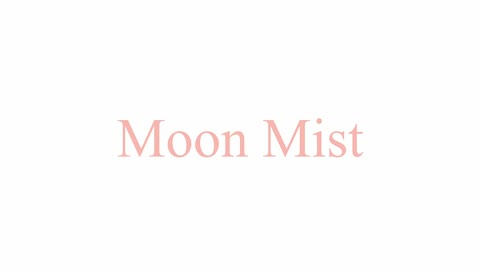 Beat 17: Moon Mist