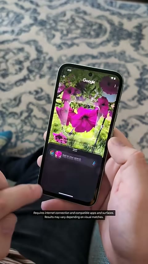 Beat 12: Flower search