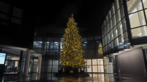 Beat 3: The tree
