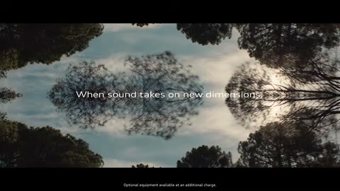 Beat 32: Mirrored pines