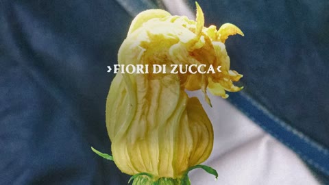 Beat 11: Market produce