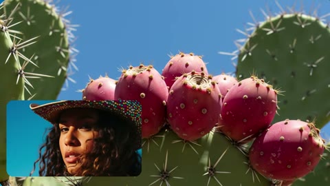 Beat 9: Cactus card