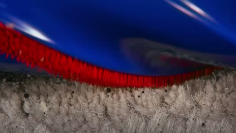 Beat 25: Bristles on carpet