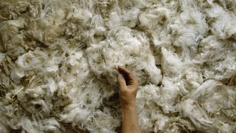 Beat 2: Hand sorting fleece