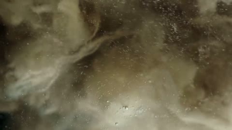 Beat 6: Wool in water
