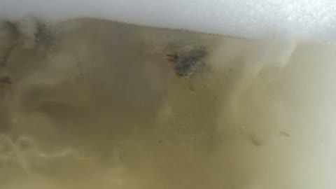 Beat 7: Water clears