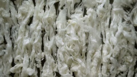 Beat 10: Wool rows