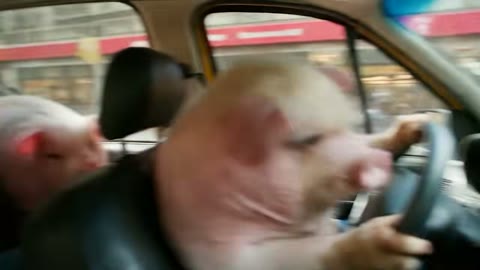 Beat 17: Taxi chaos