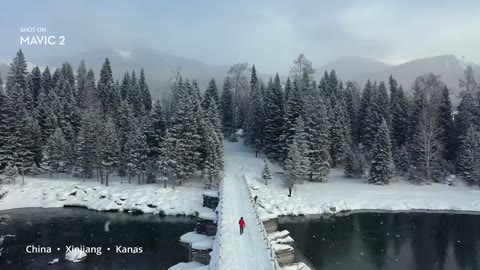 Beat 4: Frozen lake and snow forest