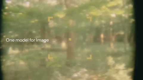 Beat 40: One model for Image