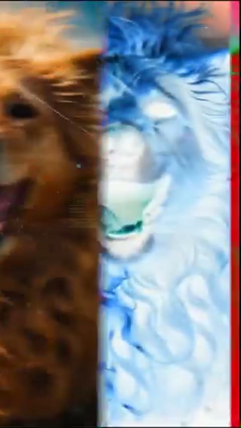 Beat 6: Motion tiger