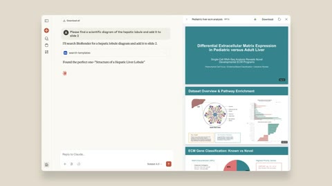 Beat 19: Slides panel