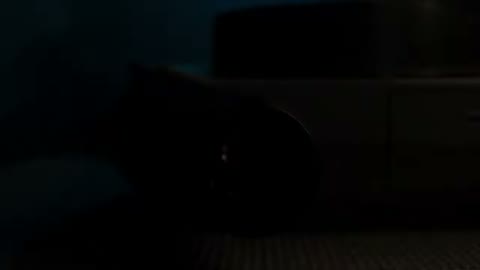 Beat 6: Kid in kart