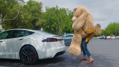 Beat 2: Bear carry