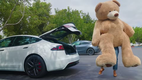 Beat 4: Trunk opens