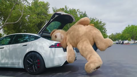 Beat 5: Bear toss
