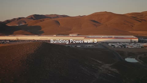 Beat 1: Desert plant